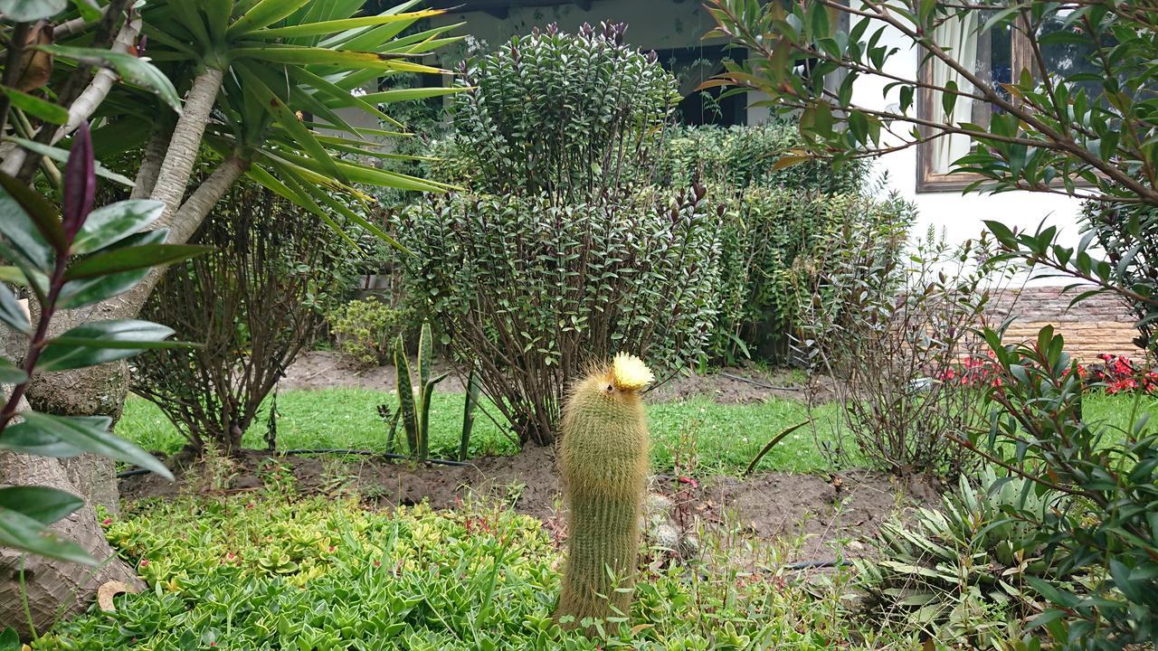 Villa Mimi Otavalo Dış mekan fotoğraf