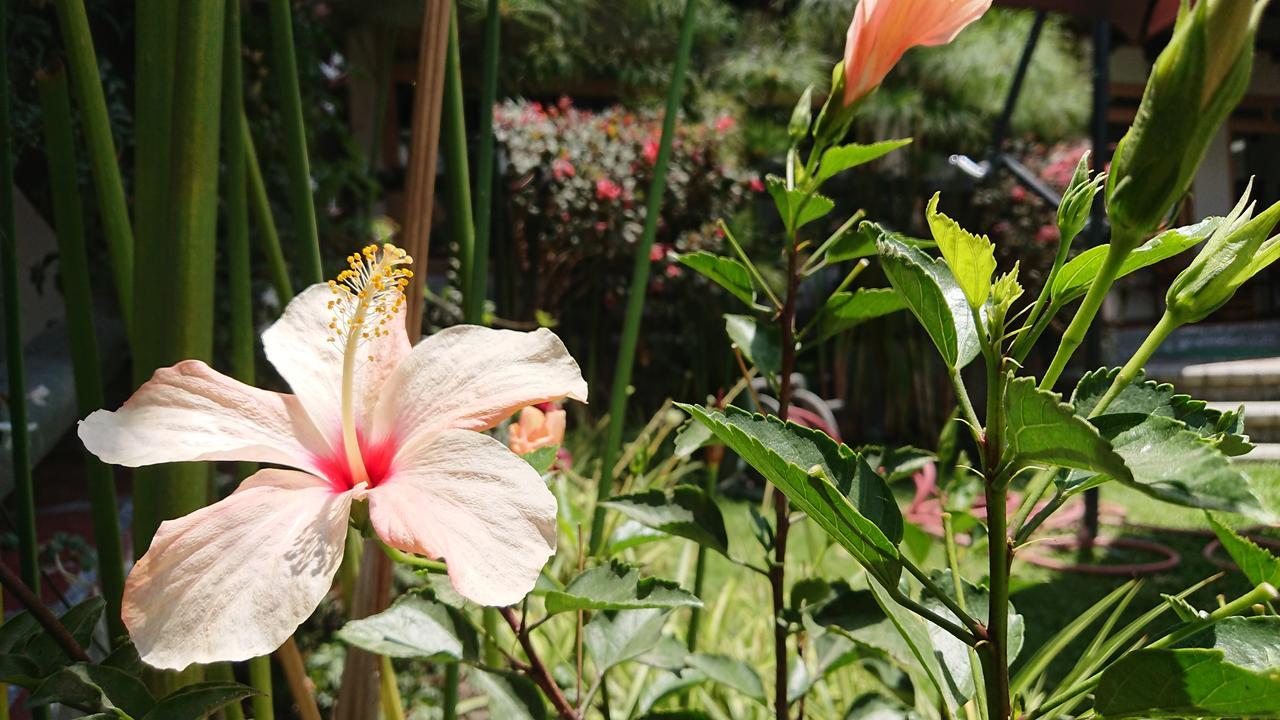 Villa Mimi Otavalo Dış mekan fotoğraf