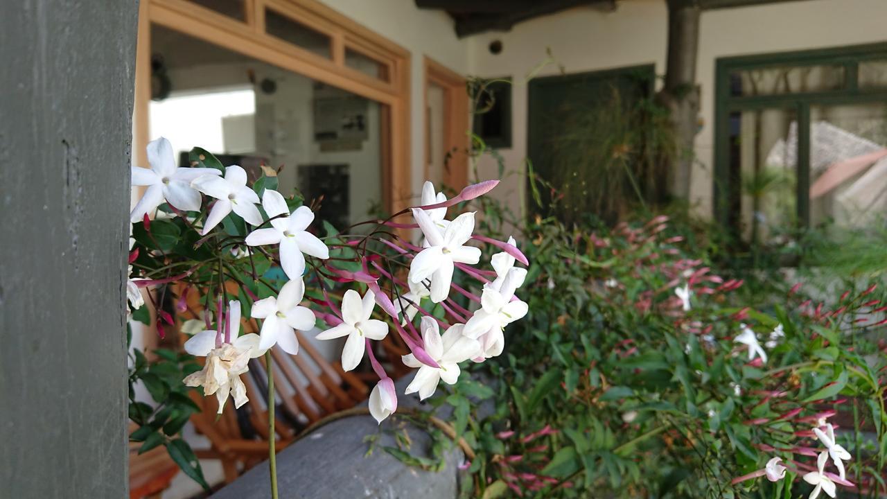 Villa Mimi Otavalo Dış mekan fotoğraf
